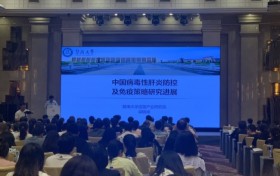 2024年肝炎防控学术研讨会在汉举行